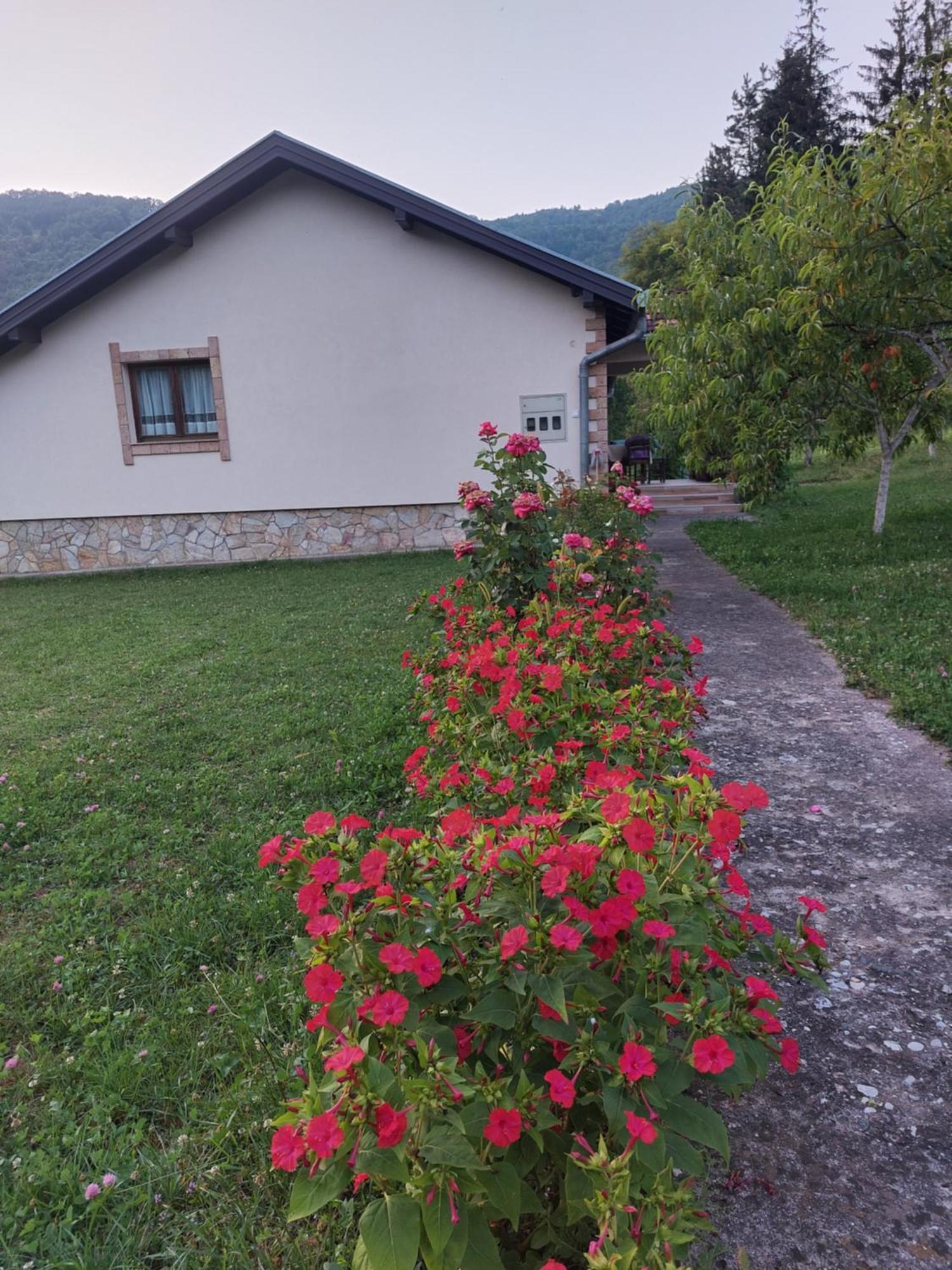 Apartment "Mira" Foca Bagian luar foto