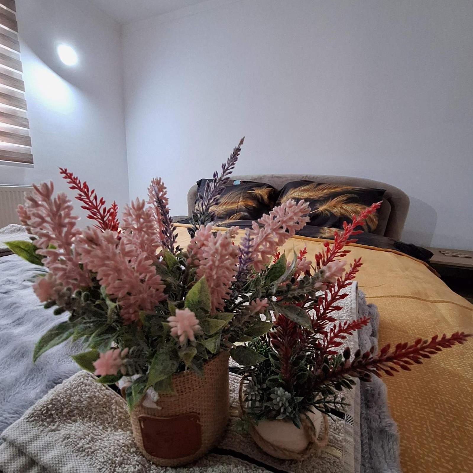 Apartment "Mira" Foca Bagian luar foto